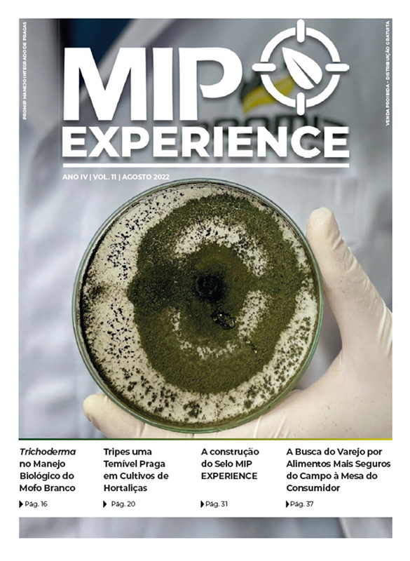 mip-experience-capa-ed-11-v2