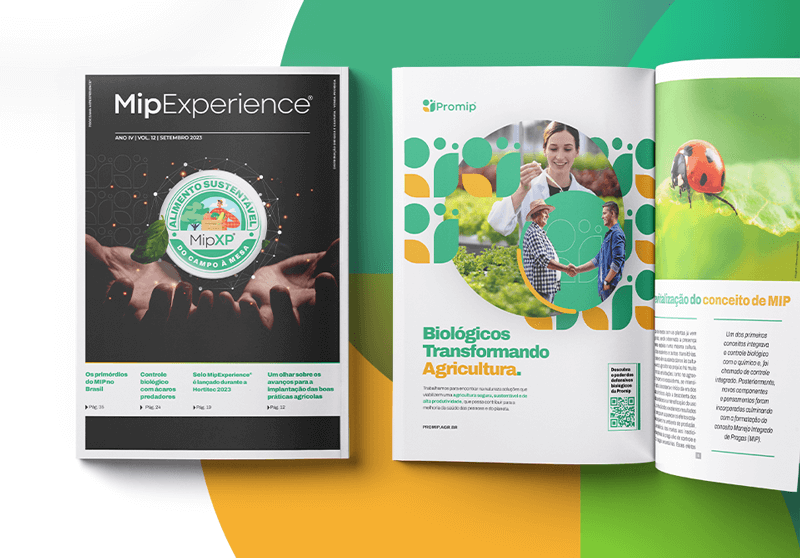 mip-experience-revista-mobile-003