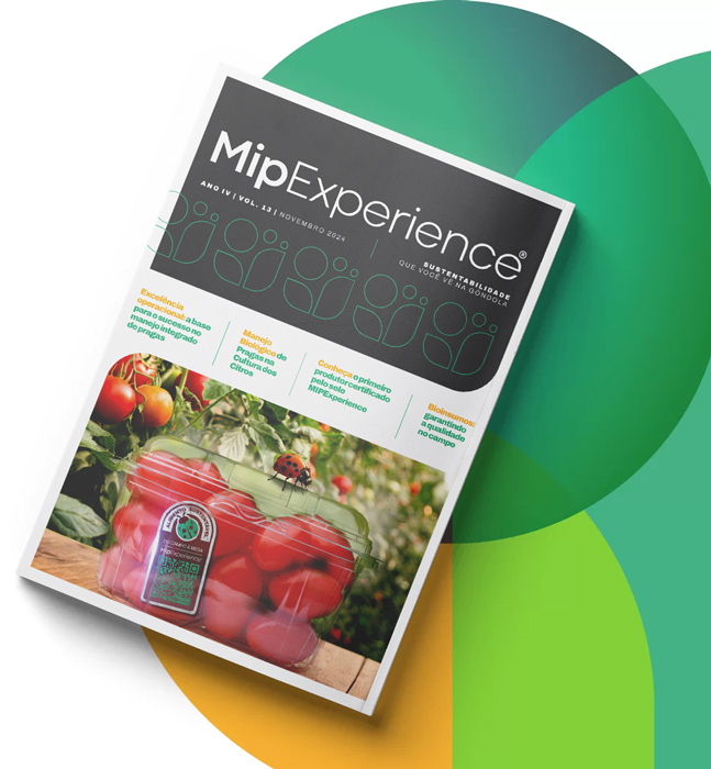 mip-experience-revista13-mobile-001